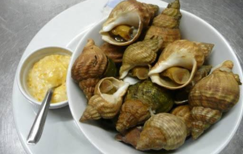 Les Terrasses Du Port Restaurant Bassin Darcachon Bulots